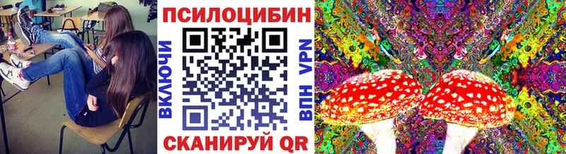 Галлюциногенные грибы GOLDEN TEACHER Адыгейск